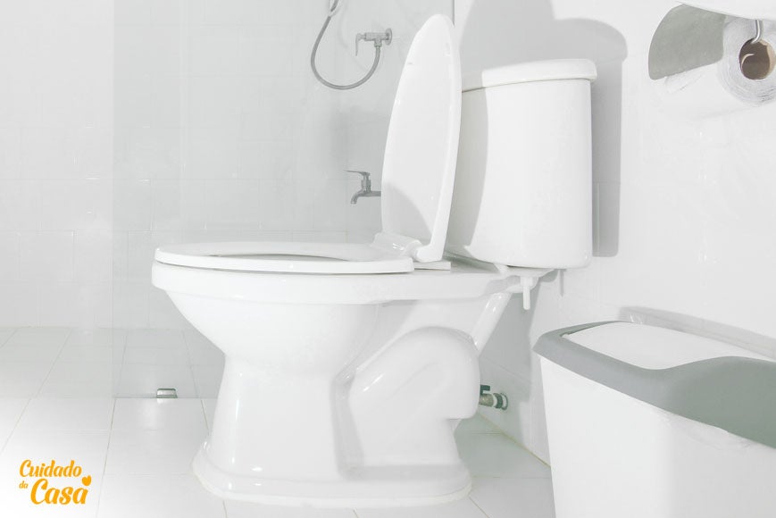 Demonstração de como limpar vaso sanitário