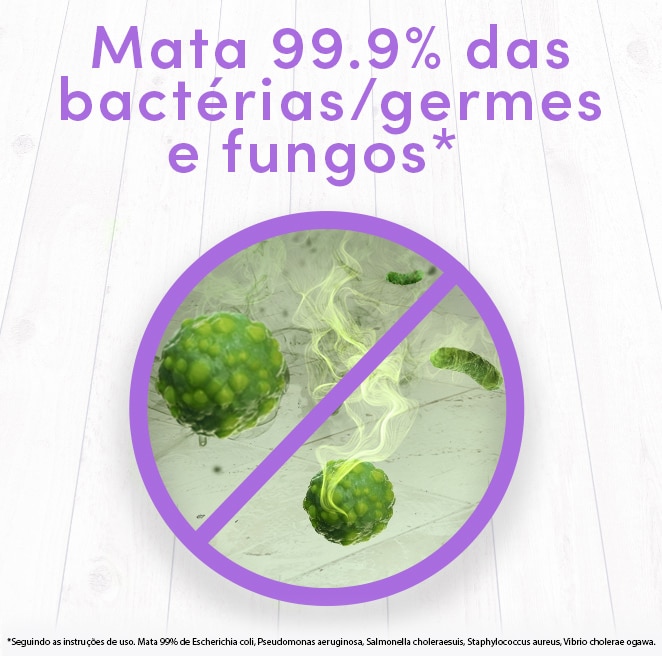 Proporciona uma limpeza profunda sem agredir as superfícies. Deixa sua casa com um agradável cheirinho de limpeza