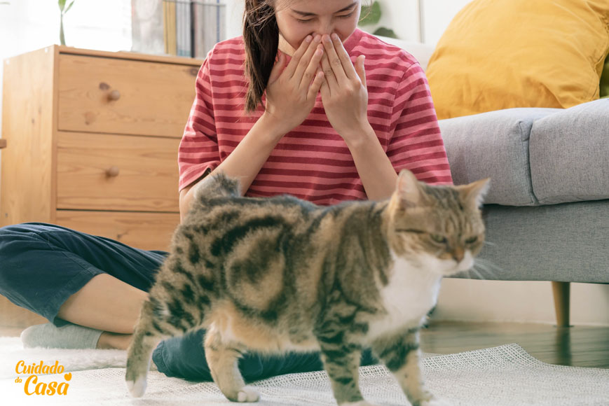 Menina sentada no chão ao lado do seu gato e se perguntando como cheio de tirar xixi de gato