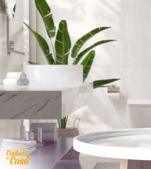 como-limpar-azulejo-de-banheiro-homecare-thumb.jpg