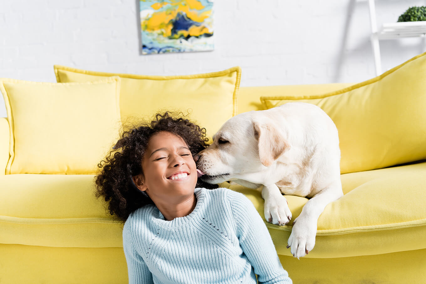 cachorro lambendo criança